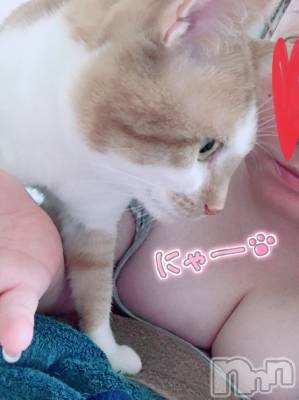 上越デリヘル 上越最安値！奥様Deli急便(ジョウエツサイヤスネ！オクサマデリキュウビン) 超激レア奥様！ みいこ(38)の5月3日写メブログ「明日は」