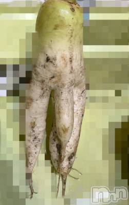 松本発デリヘル ぽっちゃりお姉さん専門　ポチャ女子(ポッチャリオネエサンセンモンポチャジョシ) 七海お姉さん(23)の12月6日写メブログ「七海のちょい出し！」