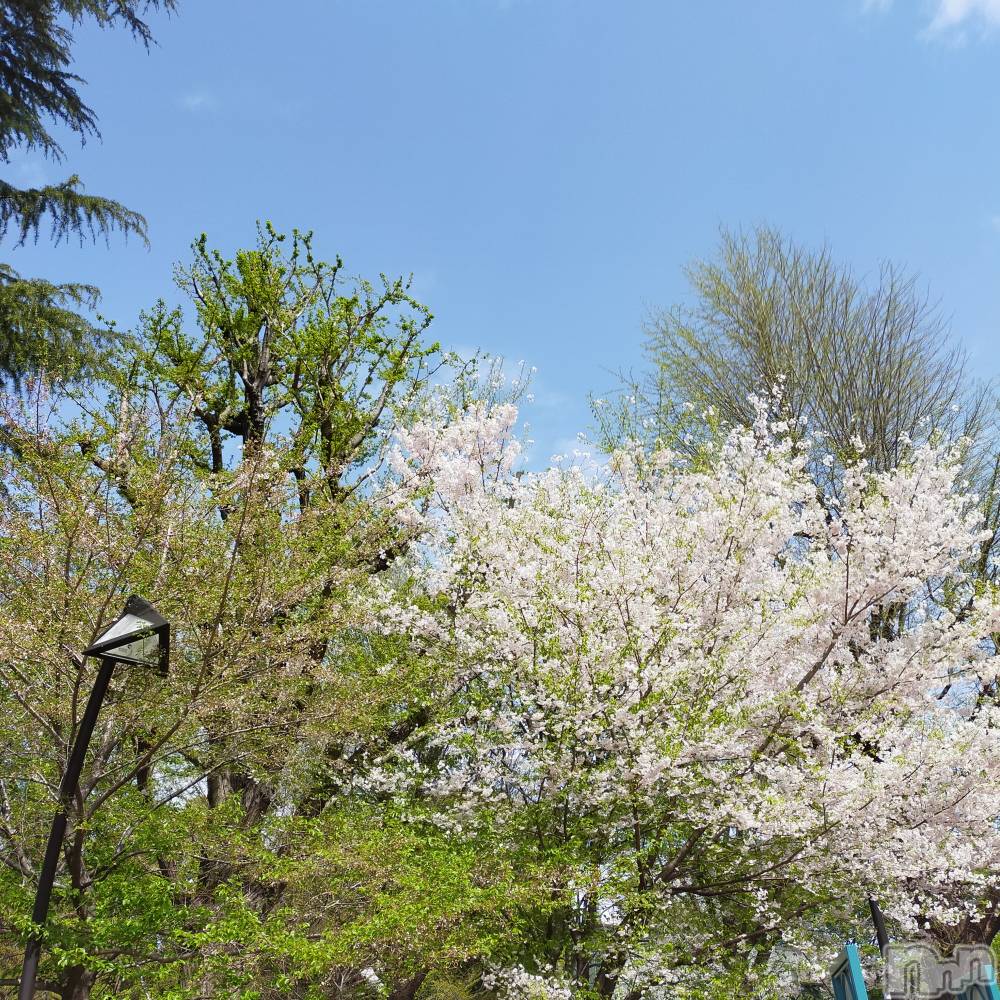 長岡デリヘル純・無垢(ジュンムク) あいか☆(21)の4月3日写メブログ「友達と観光しました！」