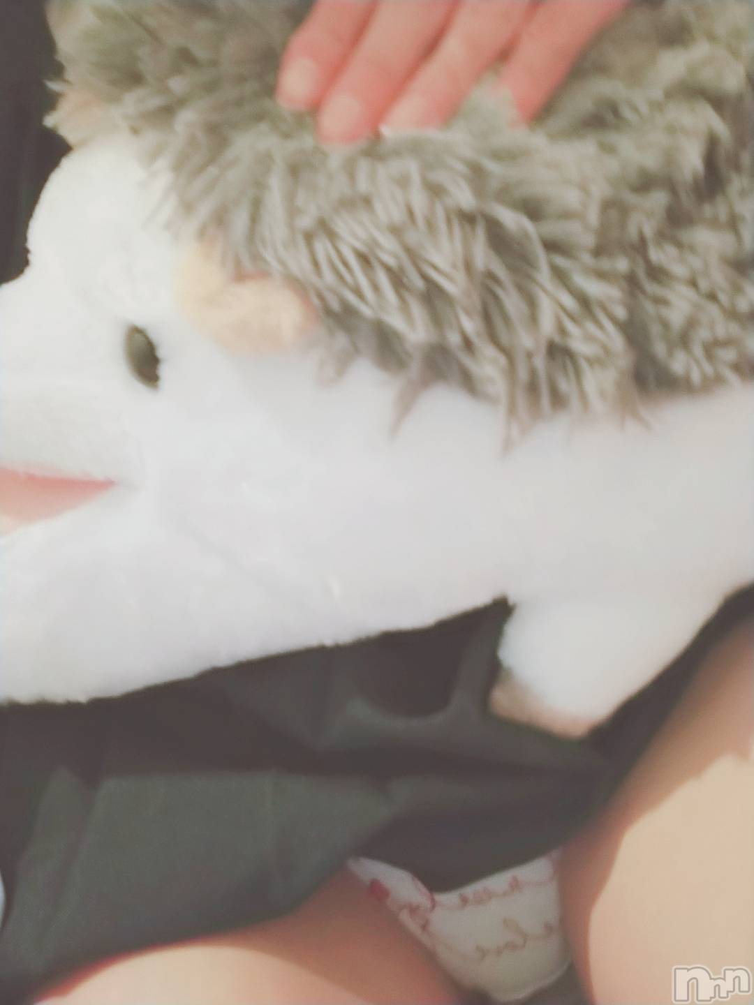 長岡デリヘル純・無垢(ジュンムク)あいか☆(21)の2021年3月23日写メブログ「ハリネズミさん」