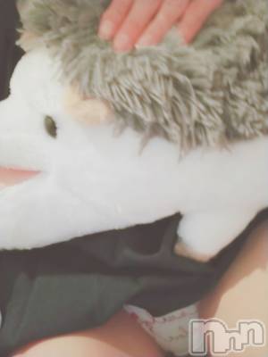 長岡デリヘル 純・無垢(ジュンムク) あいか☆(21)の3月23日写メブログ「ハリネズミさん」