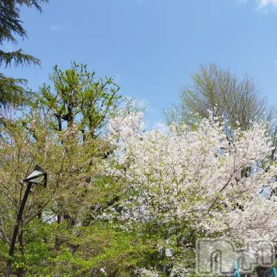 長岡デリヘル 純・無垢(ジュンムク) あいか☆(21)の4月3日写メブログ「友達と観光しました！」