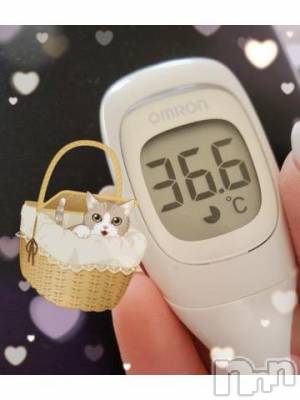 新潟ソープ 新潟バニーコレクション(ニイガタバニーコレクション) マリコ(23)の4月22日写メブログ「本日も☆」