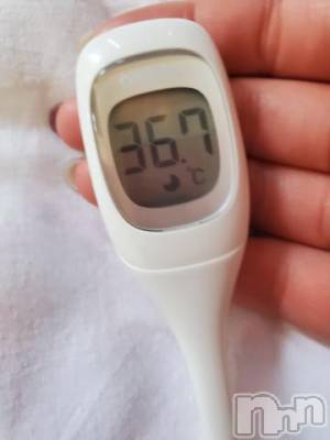 新潟ソープ 新潟バニーコレクション(ニイガタバニーコレクション) マリコ(23)の5月8日写メブログ「おはです☆」