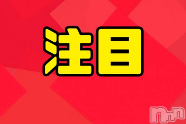 ȯѥ˥󥯥֥ץ쥳ѥ˥ 쥢(ץ쥳ѥ˥쥢)  2022ǯ127̥֥Ϣ