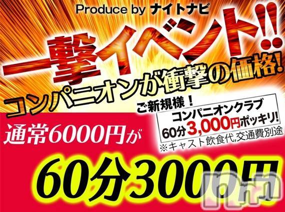 ȯѥ˥󥯥֥ץ쥳ѥ˥ 쥢(ץ쥳ѥ˥쥢)  2021ǯ819̥֥֡ڸ60ʬ3,000ߤǳڤ롪