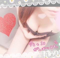 新潟ソープ新潟バニーコレクション(ニイガタバニーコレクション) モモカ(25)の7月22日写メブログ「一旦お休み(-_-)zzz」