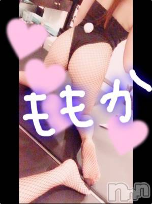 新潟ソープ 新潟バニーコレクション(ニイガタバニーコレクション) モモカ(25)の4月22日写メブログ「ビビビッと( ´-ω-)σ📱」