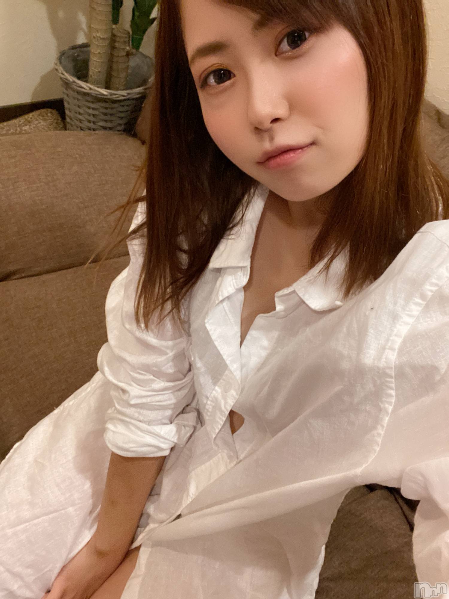 ȯѥ˥󥯥ֿ㥳(˥) 2021ǯ914̥֥֤ߤʥХС
