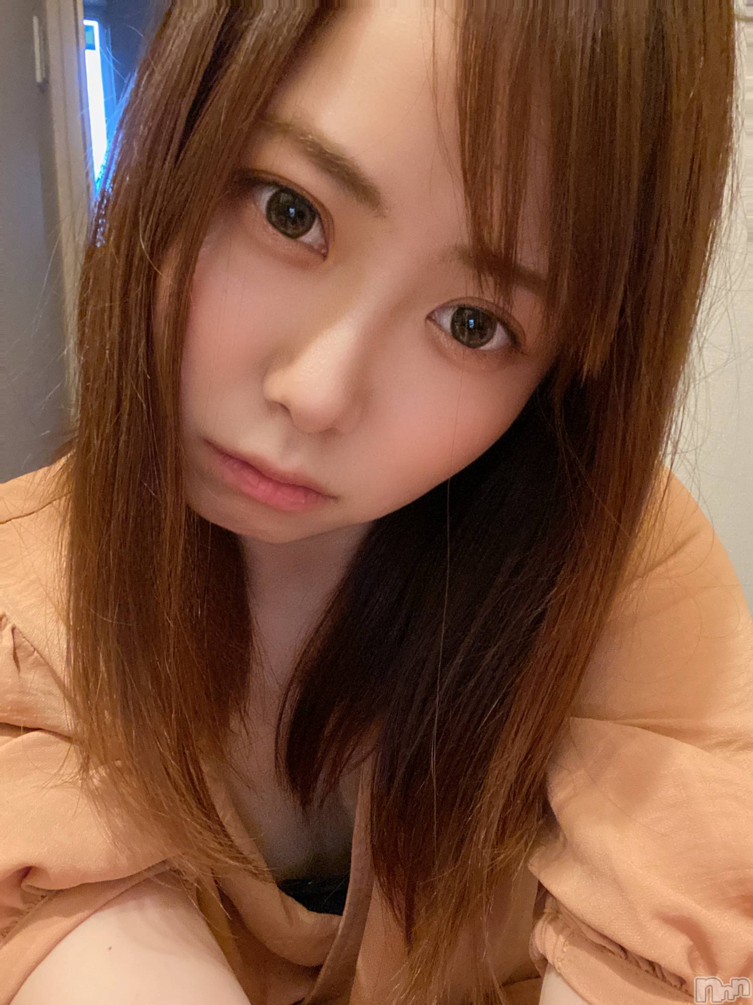 ȯѥ˥󥯥ֿ㥳(˥) 2021ǯ916̥֥֤ͤȥץ饤١ȡ