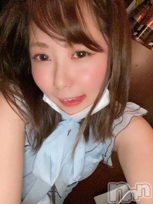ȯѥ˥󥯥ֿ㥳(˥) 椭ʡΥȴ(99)711ִ̥֥ȸˡ