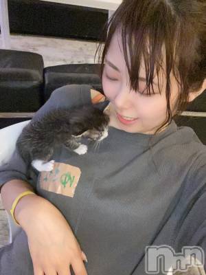 ȯѥ˥󥯥ֿ㥳(˥) 椭ʡΥȴ(99)913̥֥ǽ