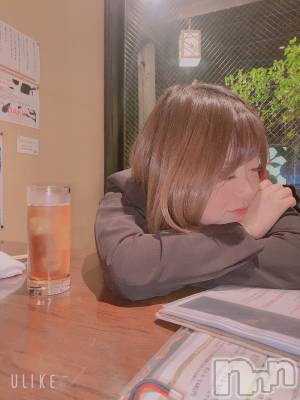 ȯѥ˥󥯥ֿ㥳(˥) 椭ʡΥȴ(99)215̥֥NGʤ