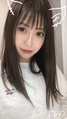 ȯѥ˥󥯥ֿ㥳(˥) 椭ʡΥȴ(99)31̥֥֥Х113cm
