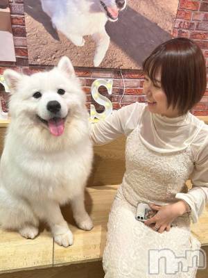 ȯѥ˥󥯥 㥳(˥) 椭ʡΥȴβ(1)