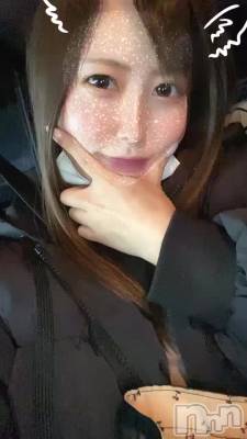 ˻