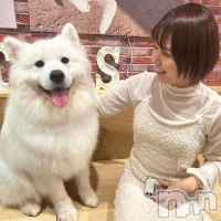 椭ʡΥȴ