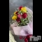 ȯѥ˥󥯥ֿ㥳(˥) 椭ʡΥȴưٶƤ