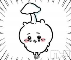 新潟ソープ新潟バニーコレクション(ニイガタバニーコレクション) エルメス(24)の9月19日写メブログ「ごめんなさいの日記🥺✍️」