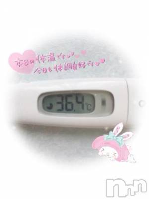 新潟ソープ 新潟バニーコレクション(ニイガタバニーコレクション) エルメス(24)の3月22日写メブログ「検温タイム?」