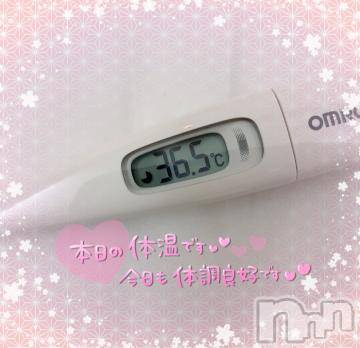 新潟ソープ 新潟バニーコレクション(ニイガタバニーコレクション) エルメス(24)の4月24日写メブログ「体温です?」