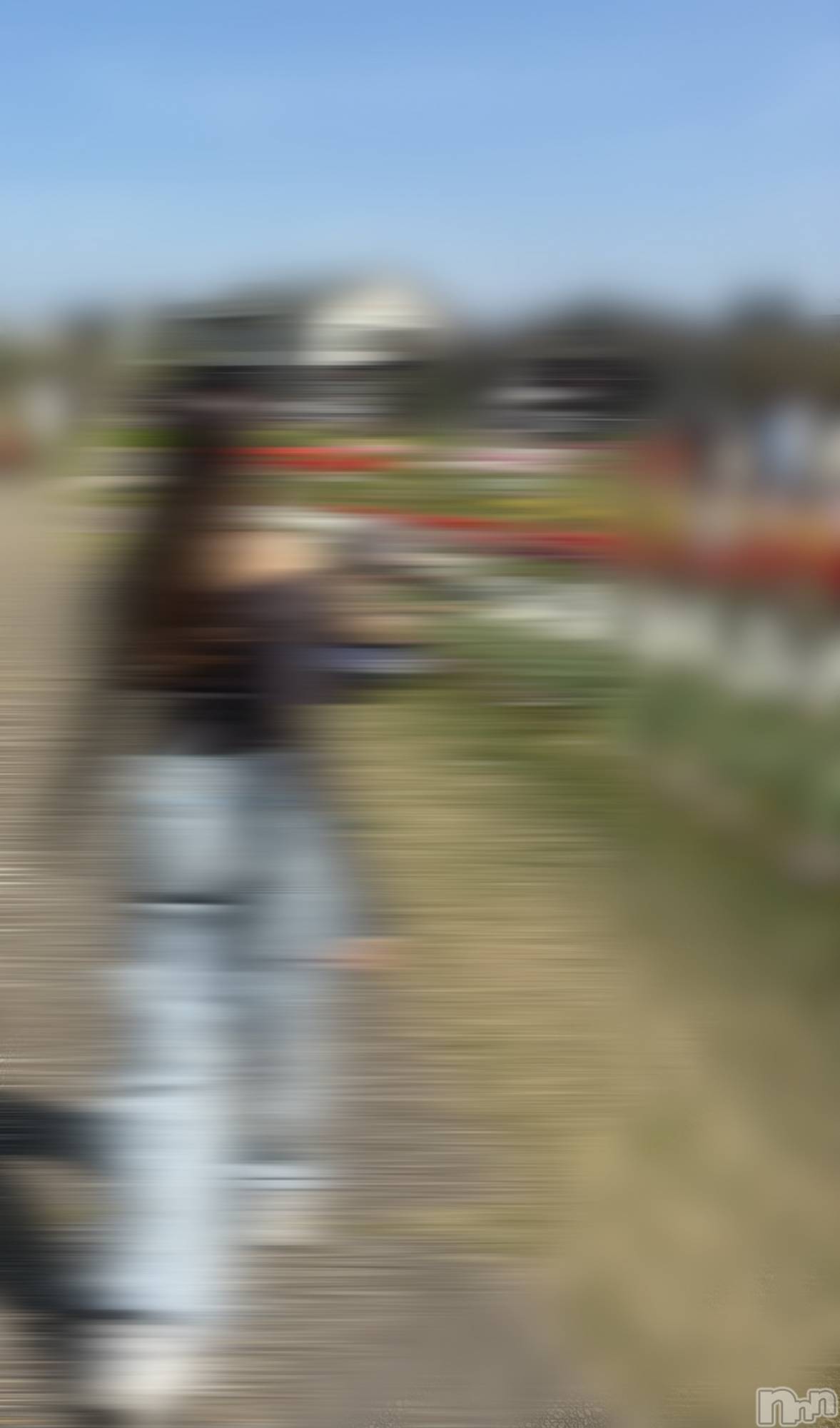 ����ȯ����ѥ˥��󥯥�ֿ��㥳��� -���㥳��ѥ˥��󥯥��-(�˥���������� -�˥���������ѥ˥��󥯥��-) ��2026ǯ4��21���̥�֥���������������ġ�������