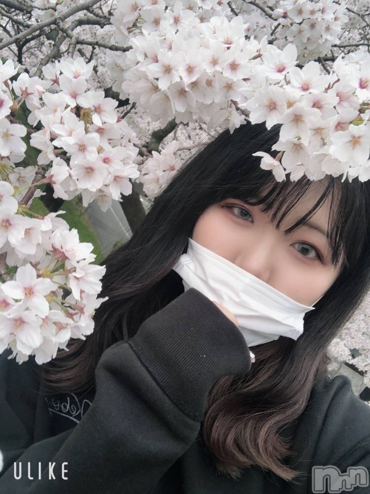 ȯѥ˥󥯥ֿ㥳(˥) å ᤫ417̥֥֤Ϥޤơ💗