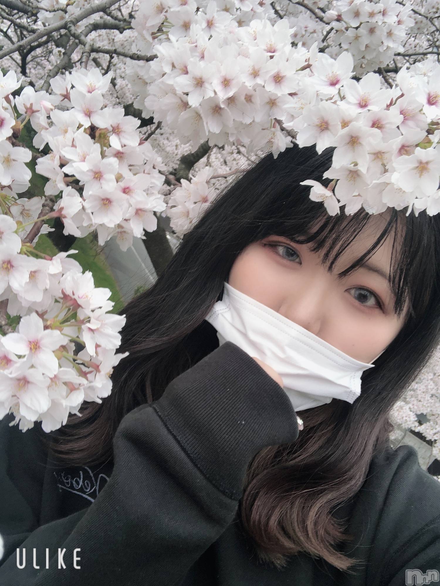 ȯѥ˥󥯥ֿ㥳(˥) 2021ǯ417̥֥֤Ϥޤơ💗