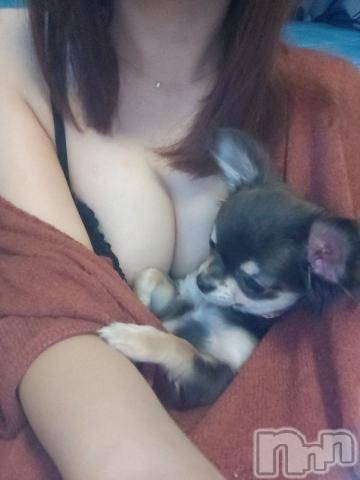 長岡デリヘルROOKIE(ルーキー)秋月心音(22)の2021年4月17日写メブログ「15時からだよん?」