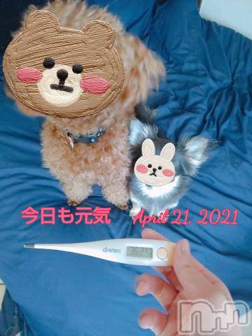 長岡デリヘルROOKIE(ルーキー)秋月心音(22)の2021年4月21日写メブログ「今日も元気すぎて笑笑?」