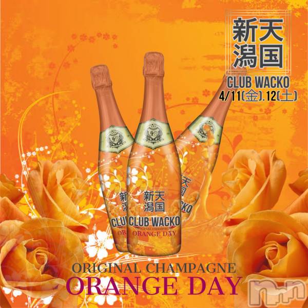 Х顦CLUB WACKO(֥拾)  2025ǯ411̥֥֥󥸥٥💛