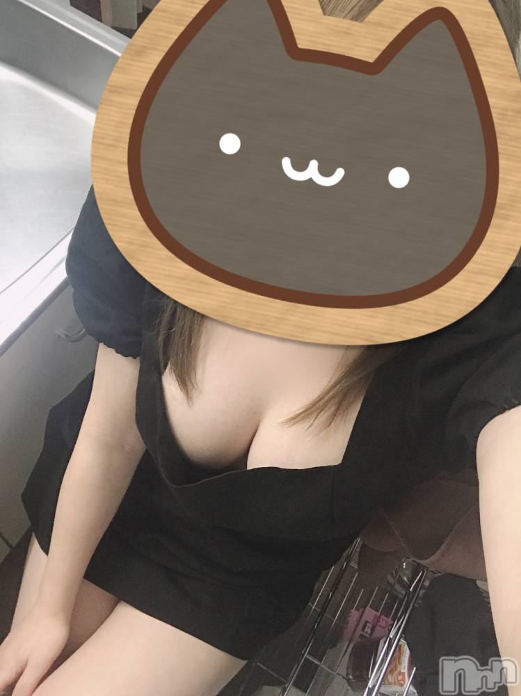 㡦ȯĥꥢ󥺥Ƥޤơ(ޥƥåȥ˥) ưʤĤ511̥֥֤äѤޤ(c