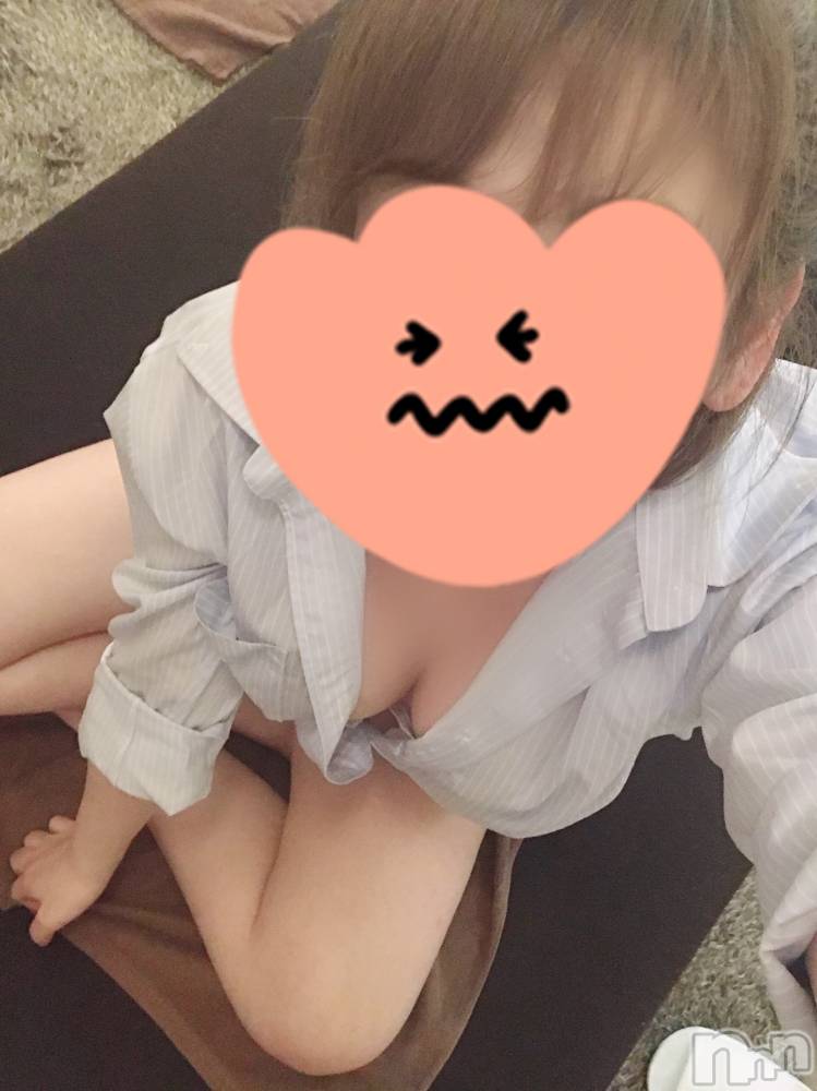㡦ȯĥꥢ󥺥Ƥޤơ(ޥƥåȥ˥) ưʤĤ529̥֥֤λऺ(๑•ૅㅁ•๑)