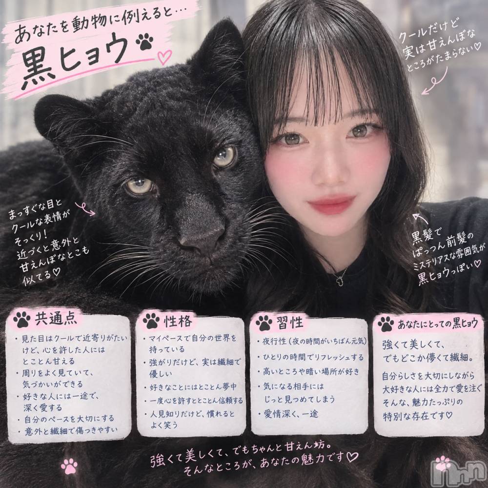 ��Į���ʥå��������륺�С����ʥå�����ܤ�̡�Ĺ��������2��Ź(���ʥå�����ܥ���ޡ��ʥ����������ޥ����˥����ƥ�) ����9��19���̥�֥�����ưʪ����🐈‍⬛��