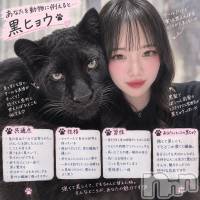 ��Į���ʥå��������륺�С����ʥå�����ܤ�̡�Ĺ��������2��Ź(���ʥå�����ܥ���ޡ��ʥ����������ޥ����˥����ƥ�) ���(26)��9��19���̥�֥�����ưʪ����🐈‍⬛��
