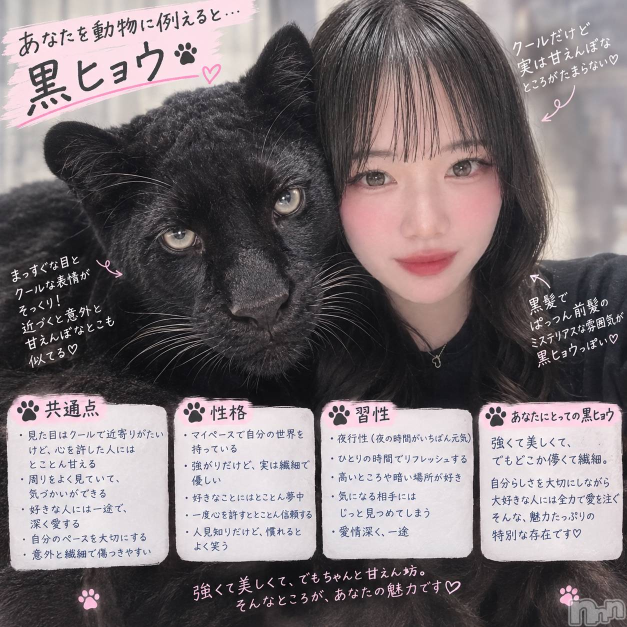 ��Į���ʥå��������륺�С����ʥå�����ܤ�̡�Ĺ��������2��Ź(���ʥå�����ܥ���ޡ��ʥ����������ޥ����˥����ƥ�) ��2026ǯ9��19���̥�֥�����ưʪ����🐈‍⬛��