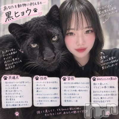 ��Į���ʥå��������륺�С����ʥå�����ܤ�̡�Ĺ��������2��Ź(���ʥå�����ܥ���ޡ��ʥ����������ޥ����˥����ƥ�) ���(26)��9��19���̥�֥�����ưʪ����🐈‍⬛��