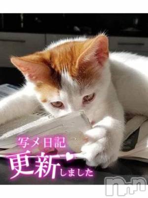 長野人妻デリヘル I LOVE奥様(アイラブオクサマ) しょうこ(41)の3月14日写メブログ「さすが👏ほなみさん」