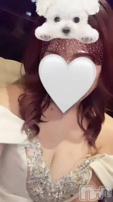 (⸝⸝ɞ̴̶̷ ·̫ ‹⸝⸝ᐡ)~♡