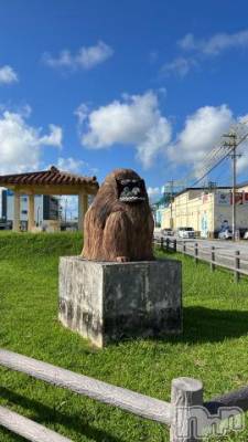 上越デリヘル RICHARD（リシャール）(リシャール) 白鳥ゆずる(20)の1月29日写メブログ「またどこかで、、✨」