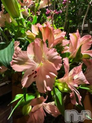 上越デリヘル RICHARD（リシャール）(リシャール) 白鳥ゆずる(20)の7月25日写メブログ「到着💫✨」