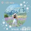 ��Į���ʥå��������륺�С� Snack  Minerva(���ʥå��ߥͥ����)��8��25����Ź®��ֲƤäݤ�day🌞��