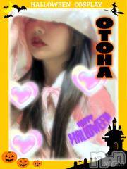 㡦ȯĥꥢ󥺥MYIRO-ޥ-(ޥ)  2025ǯ111̥֥֥ϥ󥤥٥ȳ桪ŵܡ