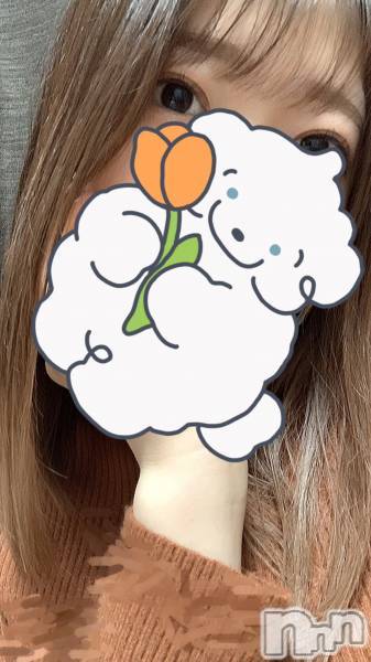 新潟メンズエステ(マイロ)の2023年12月20日お店速報「まだまだ空き枠有ります！シフトはコチラ✨お問い合わせはお早めに💦」