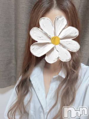 新潟メンズエステ(マイロ)の2024年1月11日お店速報「本日のみナイトナビ限定イベント！オールタイム割日します！」