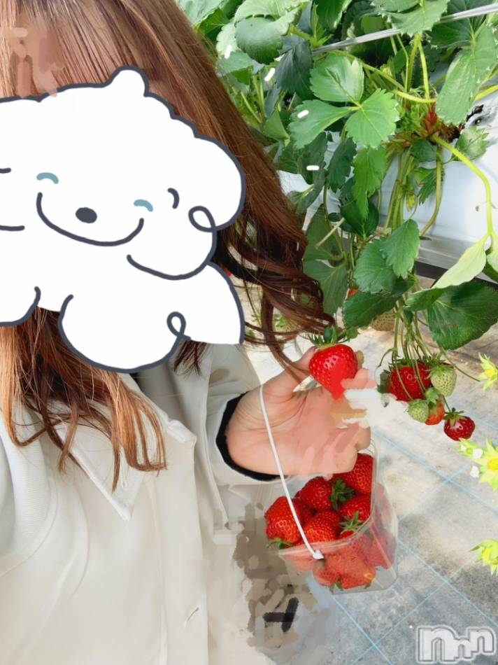 新潟メンズエステ(マイロ)の2024年4月14日お店速報「まだまだご案内可能です✨24時まで受付中🌸お気軽にお問い合わせ下さい！」