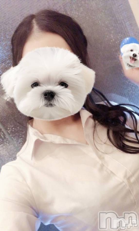 新潟メンズエステ(マイロ)の2024年6月22日お店速報「24時迄受付してます(*^^*)ご予約お待ちしてます✨」