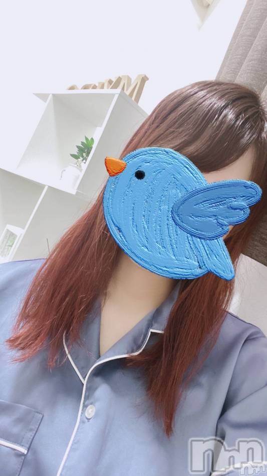 新潟メンズエステ(マイロ)の2024年8月17日お店速報「本日のメンバーはこちら✨総勢11名のセラピストでご来店お待ちしてます！」