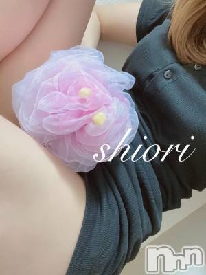 新潟メンズエステ(マイロ)の2025年4月28日お店速報「夜のメンバーはこちらです！！✨ご予約お待ちしております！！」