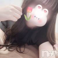 新潟メンズエステ MYIRO　-マイロ-(マイロ)の2月26日お店速報「夜のメンバーはこちら✨新人・人気セラピスト出勤中♪」